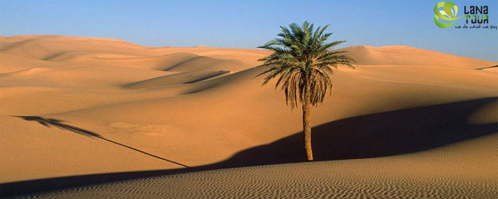 Endless White Sand Beaches of Mui Ne